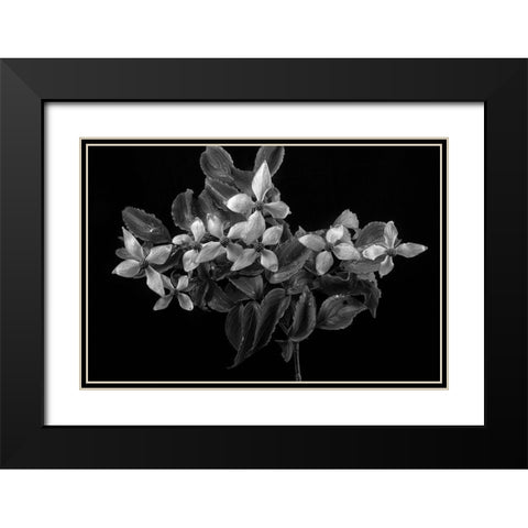 In From the Rain Black Modern Wood Framed Art Print with Double Matting by Johnson, George