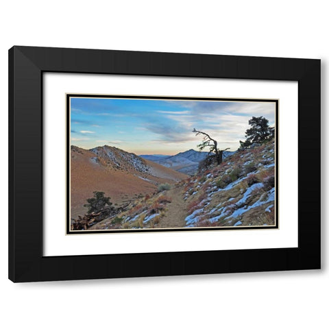 Desert II Black Modern Wood Framed Art Print with Double Matting by Kidd, Brian