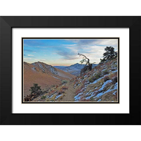 Desert II Black Modern Wood Framed Art Print with Double Matting by Kidd, Brian