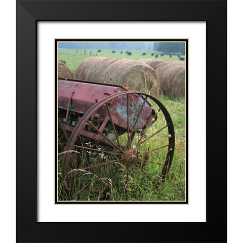 Sewing Seeds I Black Modern Wood Framed Art Print with Double Matting by Larson, Scott