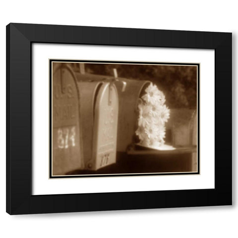 Special Delivery II Black Modern Wood Framed Art Print with Double Matting by Larson, Scott