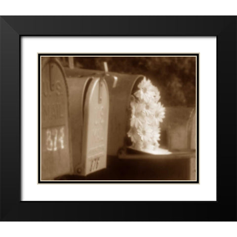 Special Delivery II Black Modern Wood Framed Art Print with Double Matting by Larson, Scott