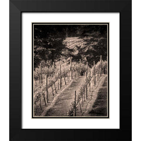 Vineyard III Black Modern Wood Framed Art Print with Double Matting by Larson, Scott