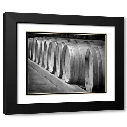 Winery I Black Modern Wood Framed Art Print with Double Matting by Larson, Scott