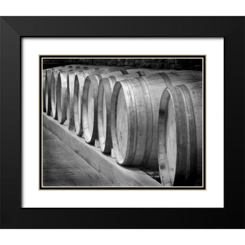 Winery I Black Modern Wood Framed Art Print with Double Matting by Larson, Scott