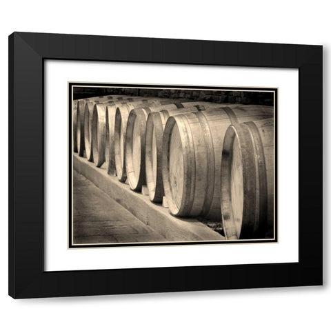 Winery II Black Modern Wood Framed Art Print with Double Matting by Larson, Scott