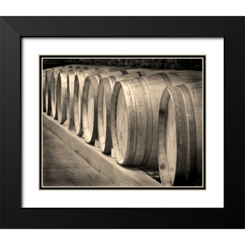 Winery II Black Modern Wood Framed Art Print with Double Matting by Larson, Scott