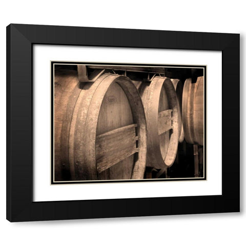 Winery V Black Modern Wood Framed Art Print with Double Matting by Larson, Scott