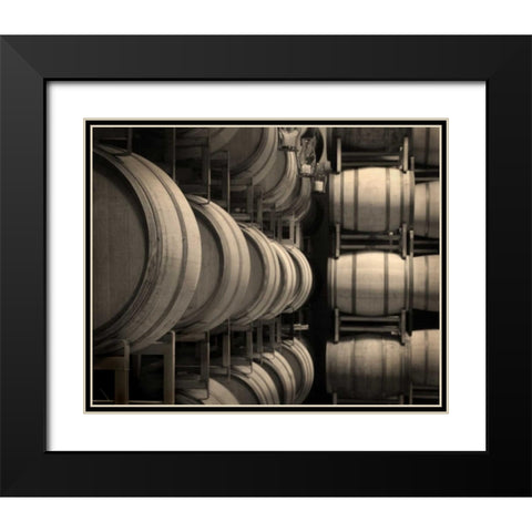 Winery VII Black Modern Wood Framed Art Print with Double Matting by Larson, Scott