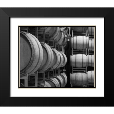 Winery VIII Black Modern Wood Framed Art Print with Double Matting by Larson, Scott