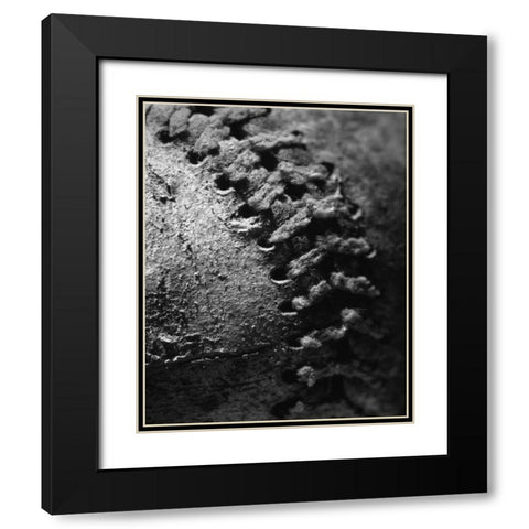 Summer Ball I Black Modern Wood Framed Art Print with Double Matting by Larson, Scott