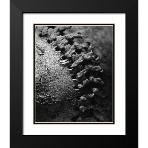 Summer Ball I Black Modern Wood Framed Art Print with Double Matting by Larson, Scott