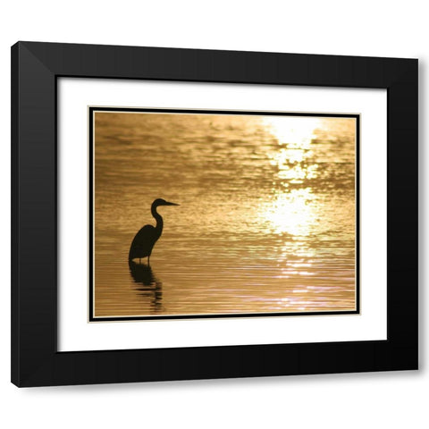 Estuary III Black Modern Wood Framed Art Print with Double Matting by Larson, Scott