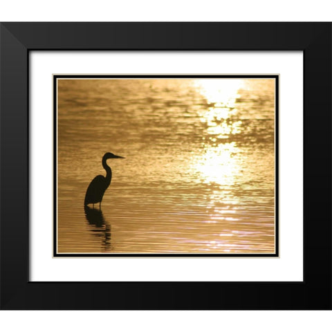 Estuary III Black Modern Wood Framed Art Print with Double Matting by Larson, Scott