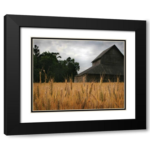 Harvest Time I Black Modern Wood Framed Art Print with Double Matting by Larson, Scott
