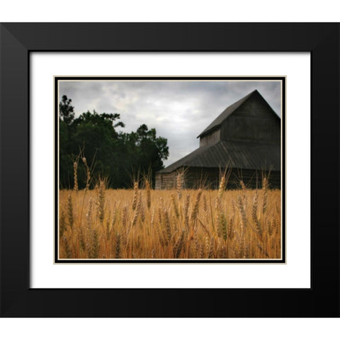 Harvest Time I Black Modern Wood Framed Art Print with Double Matting by Larson, Scott