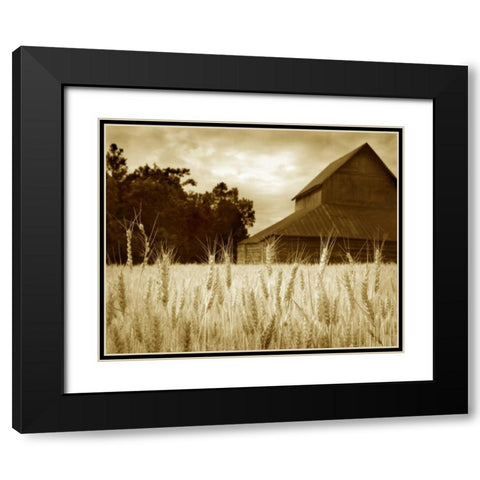 Harvest Time III Black Modern Wood Framed Art Print with Double Matting by Larson, Scott