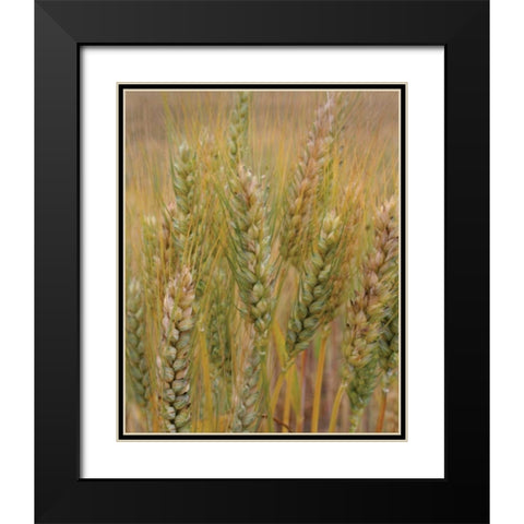 Turning Grain I Black Modern Wood Framed Art Print with Double Matting by Larson, Scott