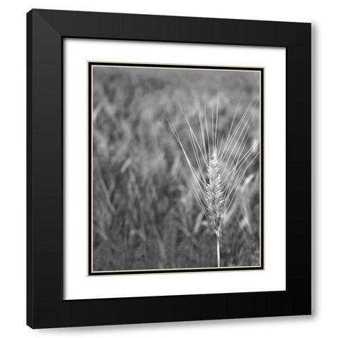 Turning Grain III Black Modern Wood Framed Art Print with Double Matting by Larson, Scott