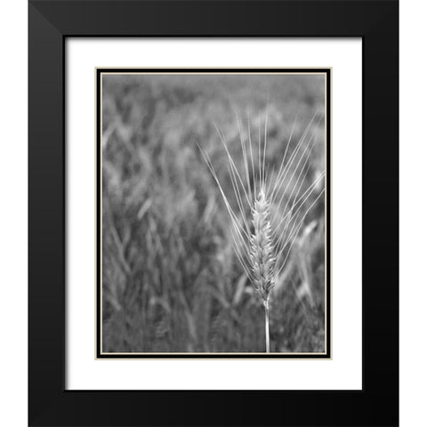 Turning Grain III Black Modern Wood Framed Art Print with Double Matting by Larson, Scott