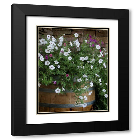 Petunia Barrel I Black Modern Wood Framed Art Print with Double Matting by Larson, Scott