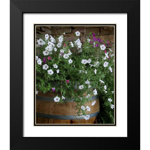 Petunia Barrel I Black Modern Wood Framed Art Print with Double Matting by Larson, Scott