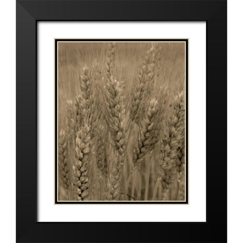 Turning Grain V Black Modern Wood Framed Art Print with Double Matting by Larson, Scott