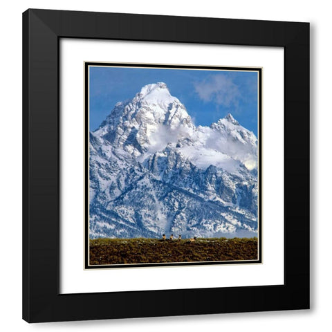 Grand Teton National Park V Black Modern Wood Framed Art Print with Double Matting by Leahy, Ike