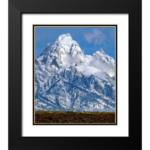 Grand Teton National Park V Black Modern Wood Framed Art Print with Double Matting by Leahy, Ike