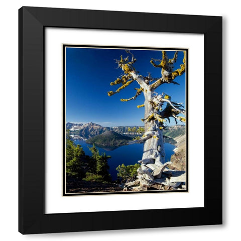 Crater Lake I Black Modern Wood Framed Art Print with Double Matting by Leahy, Ike