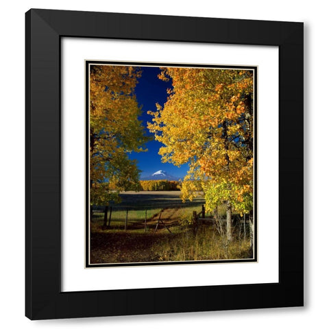 Mt. Adams VI Black Modern Wood Framed Art Print with Double Matting by Leahy, Ike