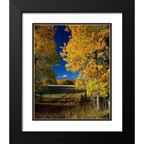 Mt. Adams VI Black Modern Wood Framed Art Print with Double Matting by Leahy, Ike