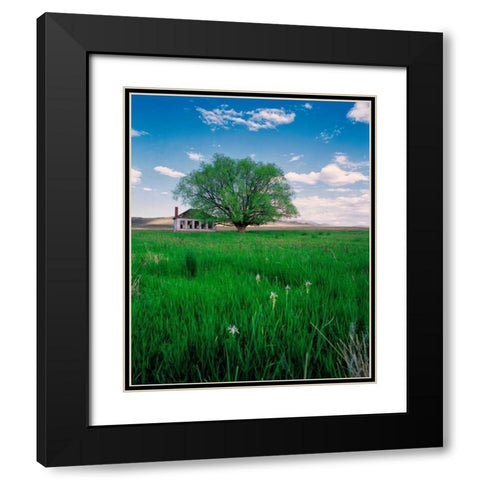 Pioneer School Black Modern Wood Framed Art Print with Double Matting by Leahy, Ike