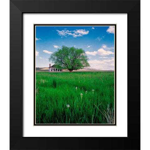 Pioneer School Black Modern Wood Framed Art Print with Double Matting by Leahy, Ike