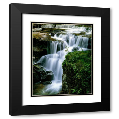Lost Creek Falls Black Modern Wood Framed Art Print with Double Matting by Leahy, Ike