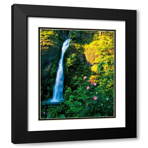 Horse Tail Falls Black Modern Wood Framed Art Print with Double Matting by Leahy, Ike