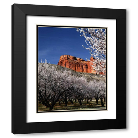 Capitol Reef Black Modern Wood Framed Art Print with Double Matting by Leahy, Ike