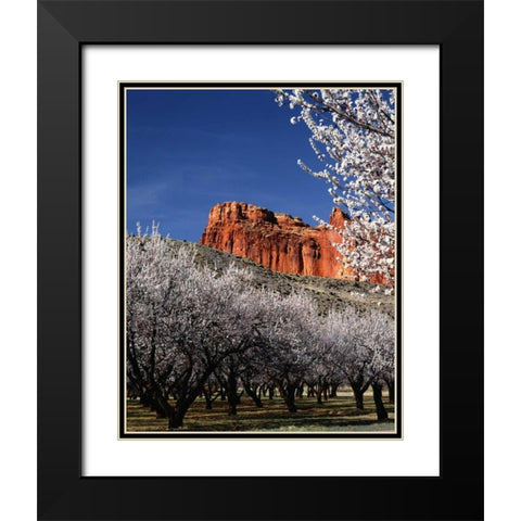 Capitol Reef Black Modern Wood Framed Art Print with Double Matting by Leahy, Ike