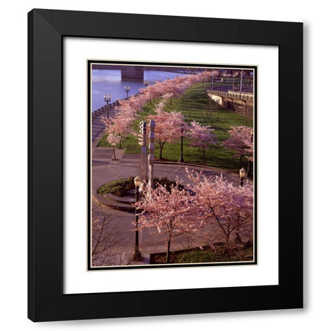 Spring in Portland Black Modern Wood Framed Art Print with Double Matting by Leahy, Ike