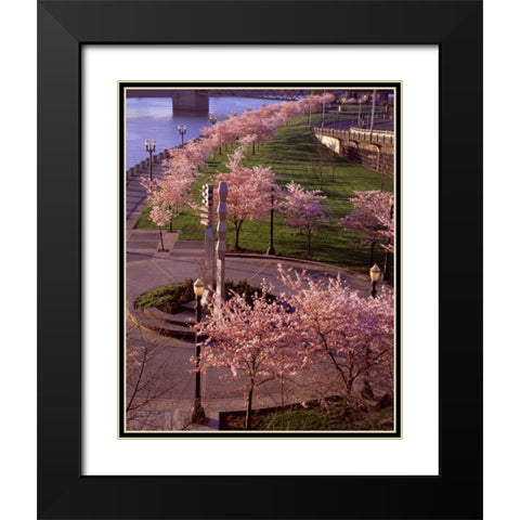 Spring in Portland Black Modern Wood Framed Art Print with Double Matting by Leahy, Ike