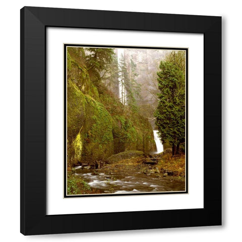 Multnomah Falls Creek Side Black Modern Wood Framed Art Print with Double Matting by Leahy, Ike