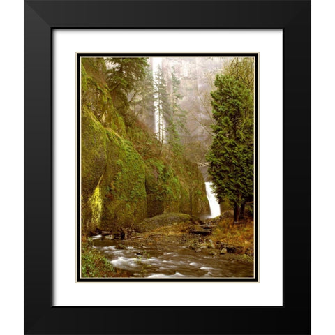 Multnomah Falls Creek Side Black Modern Wood Framed Art Print with Double Matting by Leahy, Ike