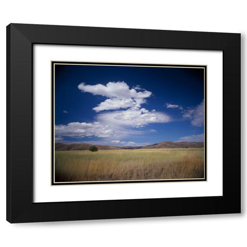 Lone Tree Black Modern Wood Framed Art Print with Double Matting by Leahy, Ike