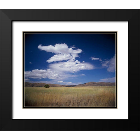 Lone Tree Black Modern Wood Framed Art Print with Double Matting by Leahy, Ike