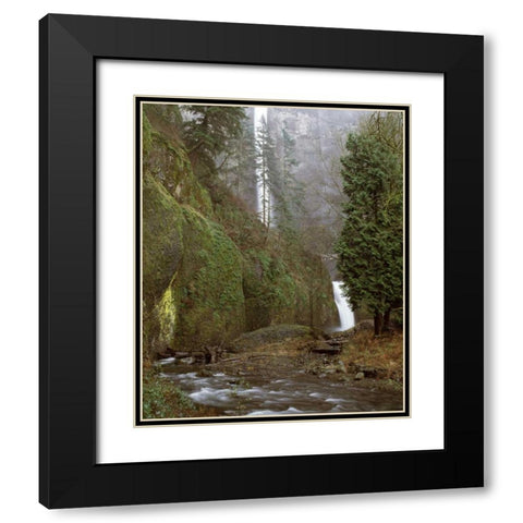Multnomah Falls Creek Side II Black Modern Wood Framed Art Print with Double Matting by Leahy, Ike