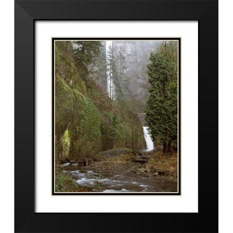 Multnomah Falls Creek Side II Black Modern Wood Framed Art Print with Double Matting by Leahy, Ike
