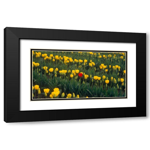 Me Black Modern Wood Framed Art Print with Double Matting by Leahy, Ike