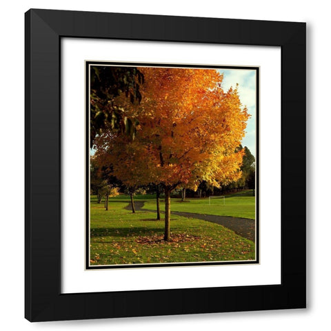 Fall Soccer Black Modern Wood Framed Art Print with Double Matting by Leahy, Ike