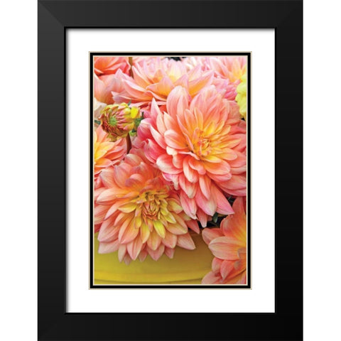 Spring Garden I Black Modern Wood Framed Art Print with Double Matting by Love, Maureen