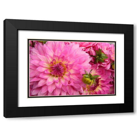 Spring Garden II Black Modern Wood Framed Art Print with Double Matting by Love, Maureen